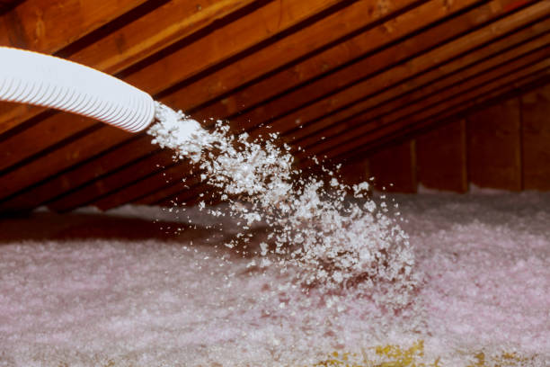 Best Eco-Friendly Insulation in Dunellen, NJ
